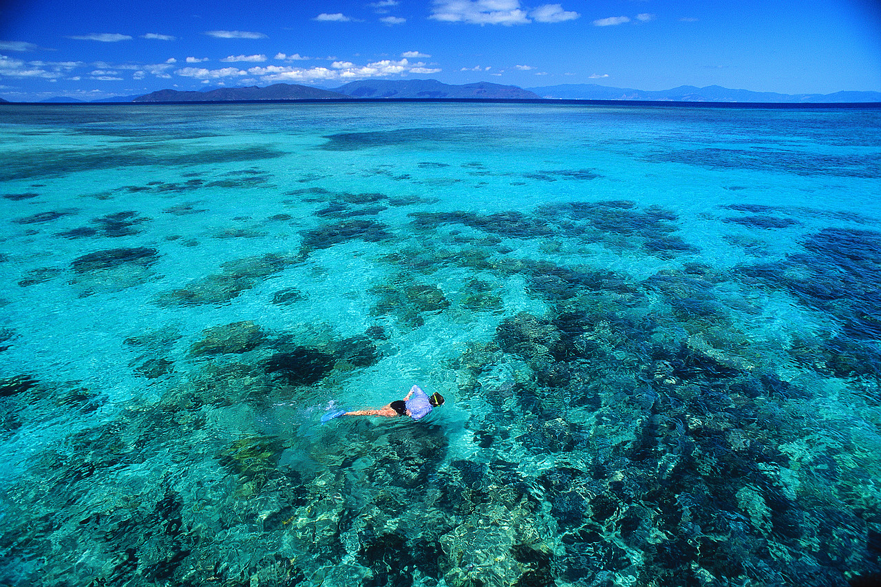 Бескрайний океан 1. Большой Барьерный риф Квинсленд. Большой Барьерный риф под водой. Океания под водой. Бездонный океан.